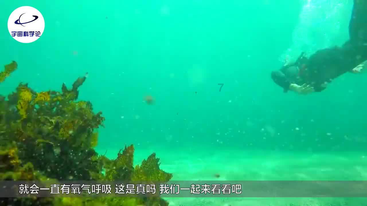 病菌猎人